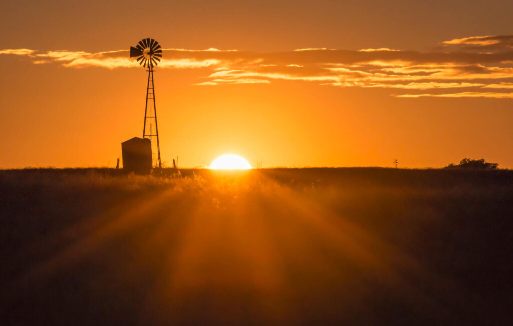 how hot does texas get in the summer