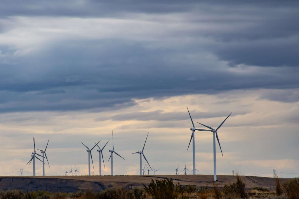 The Environmental Benefits of Solar in Texas