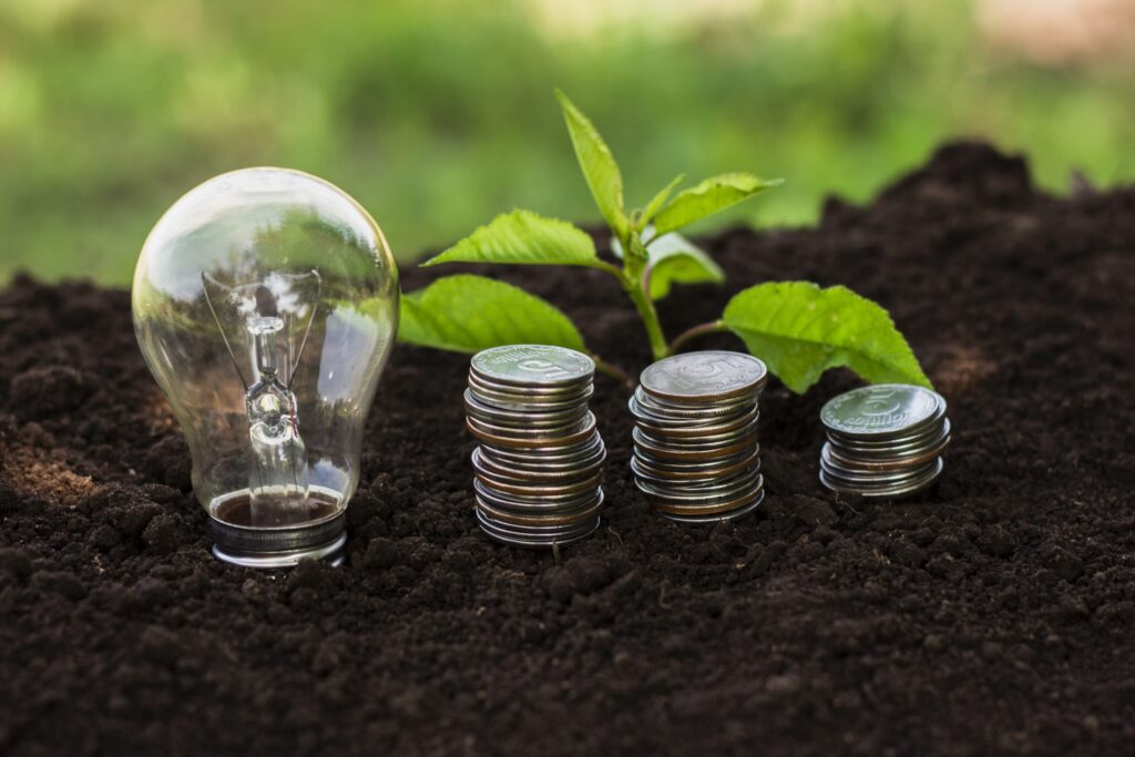 investing in solar energy