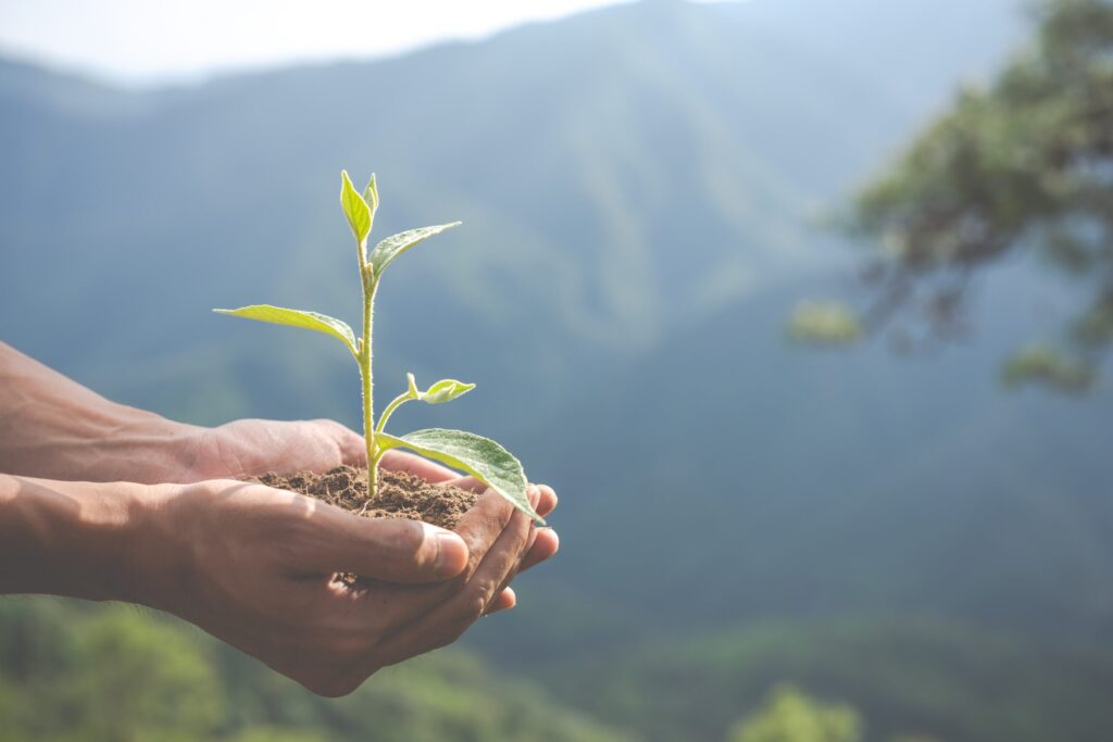 10 Effective Strategies to Reduce Greenhouse Gas Emissions
