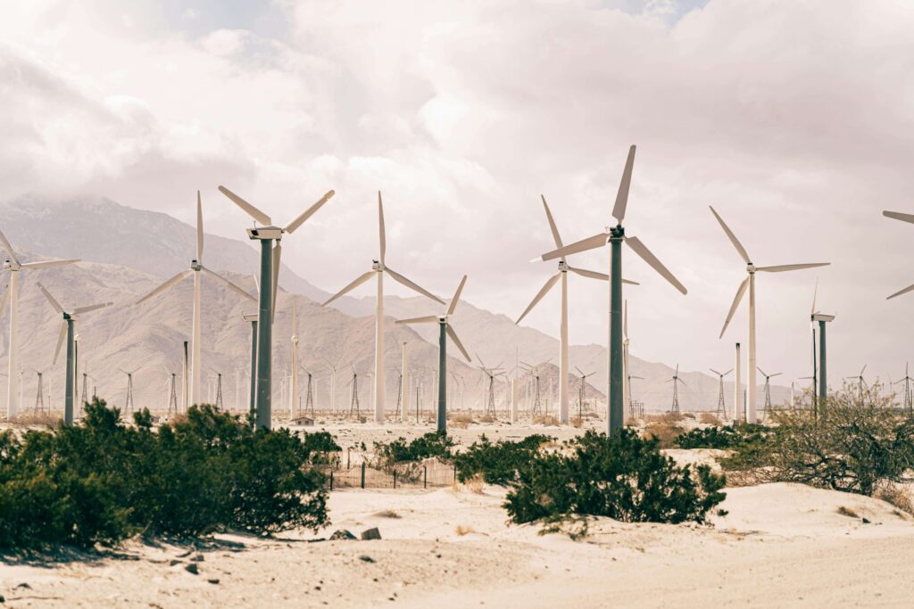 Adoption of Renewable Energy
