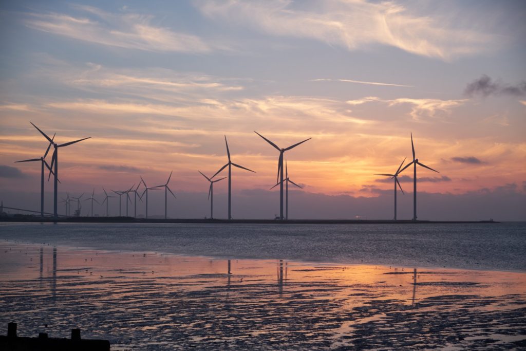 Solar renewable 2 1024x683 1