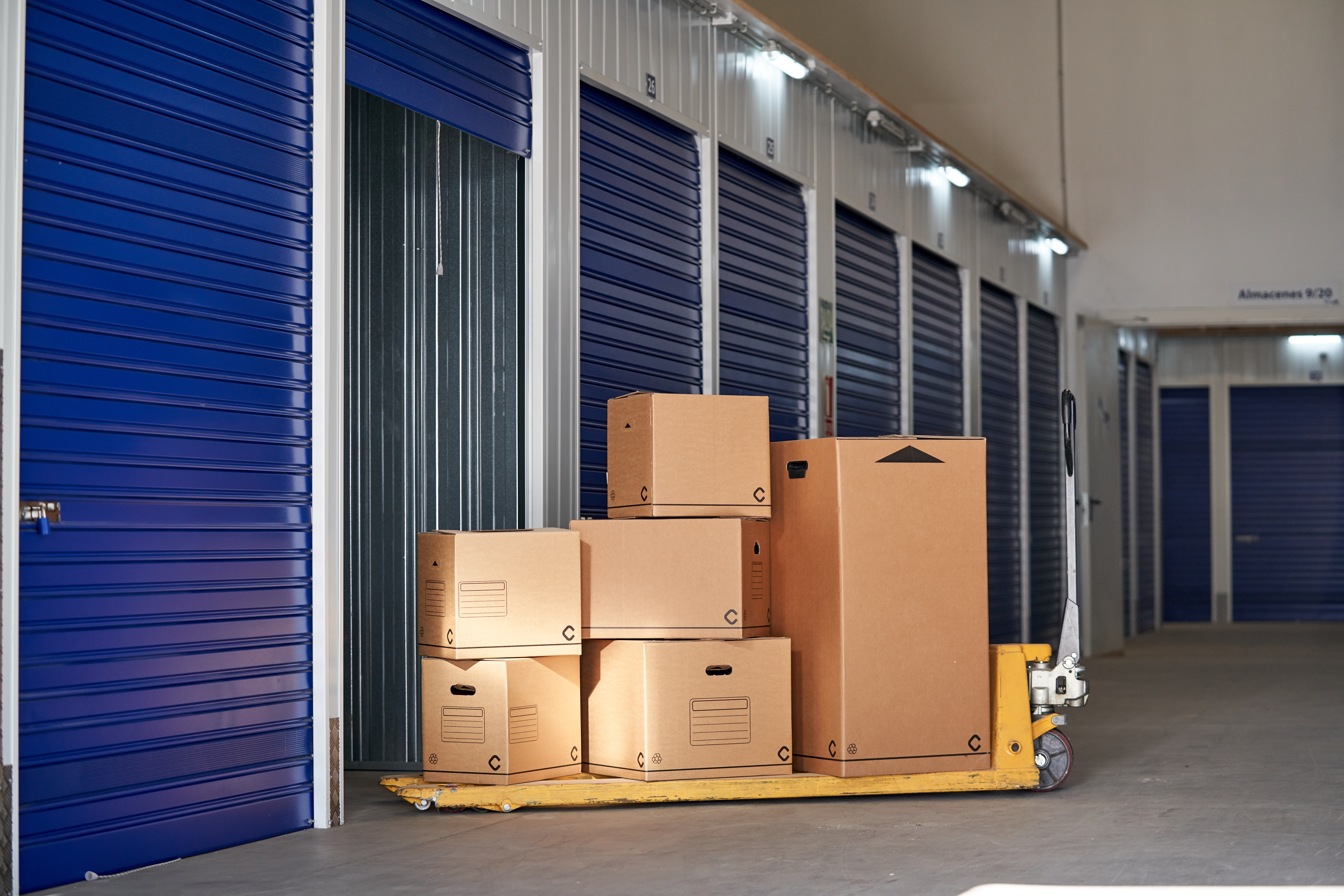Storage industrial building rental entrepreneurs individuals with recyclable cardboard boxes top pallet rack
