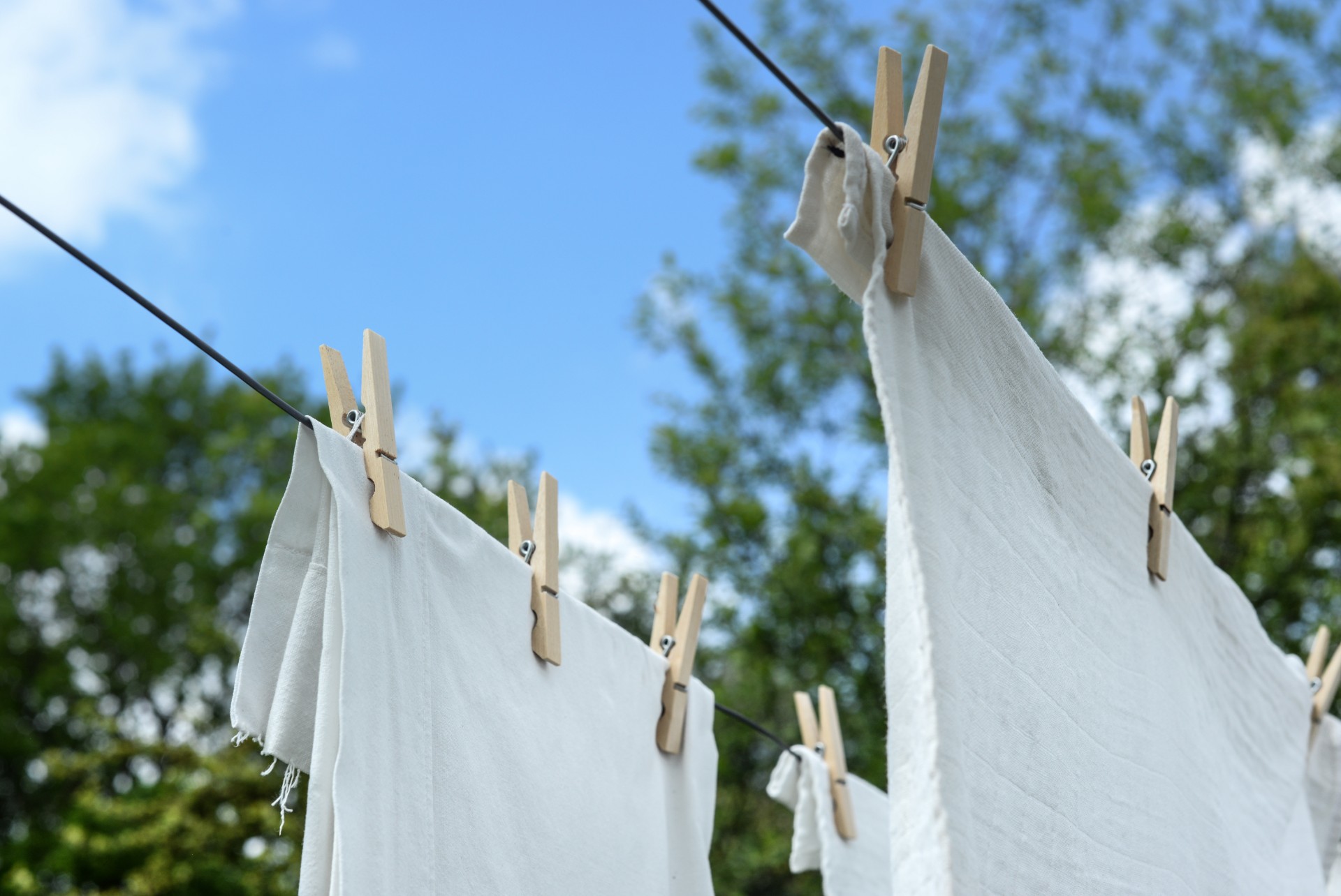 Clothesline and clothespins
