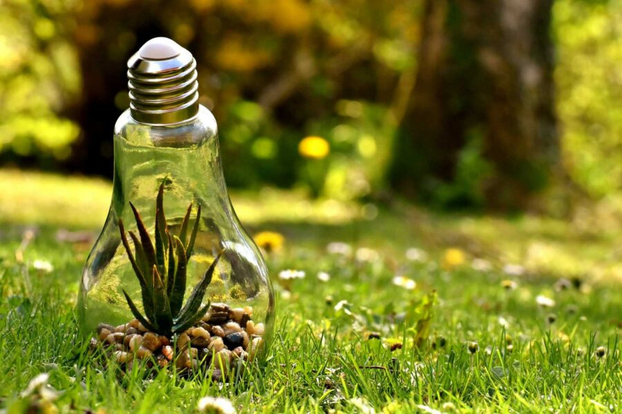 How Does Conserving Energy Help The Environment? Expert Insight ...