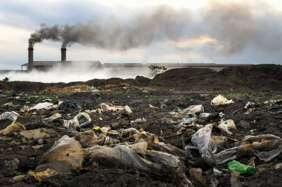 7-reasons-why-plastic-bags-are-so-bad-for-the-environment-chariot-energy