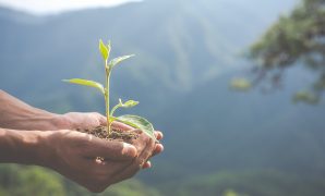 10 Effective Strategies to Reduce Greenhouse Gas Emissions