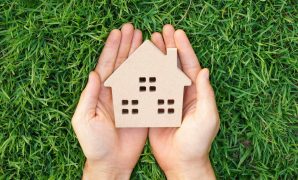 Solar Buyback Programs Align with Green Living