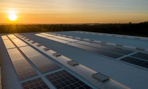 affordable solar panels