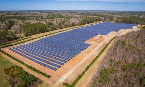 solar panels for business