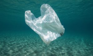 plastic-bag