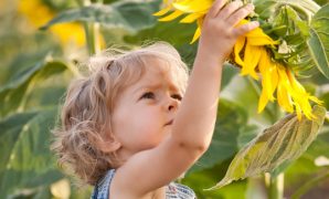 Beautiful child with sunflower in spring field