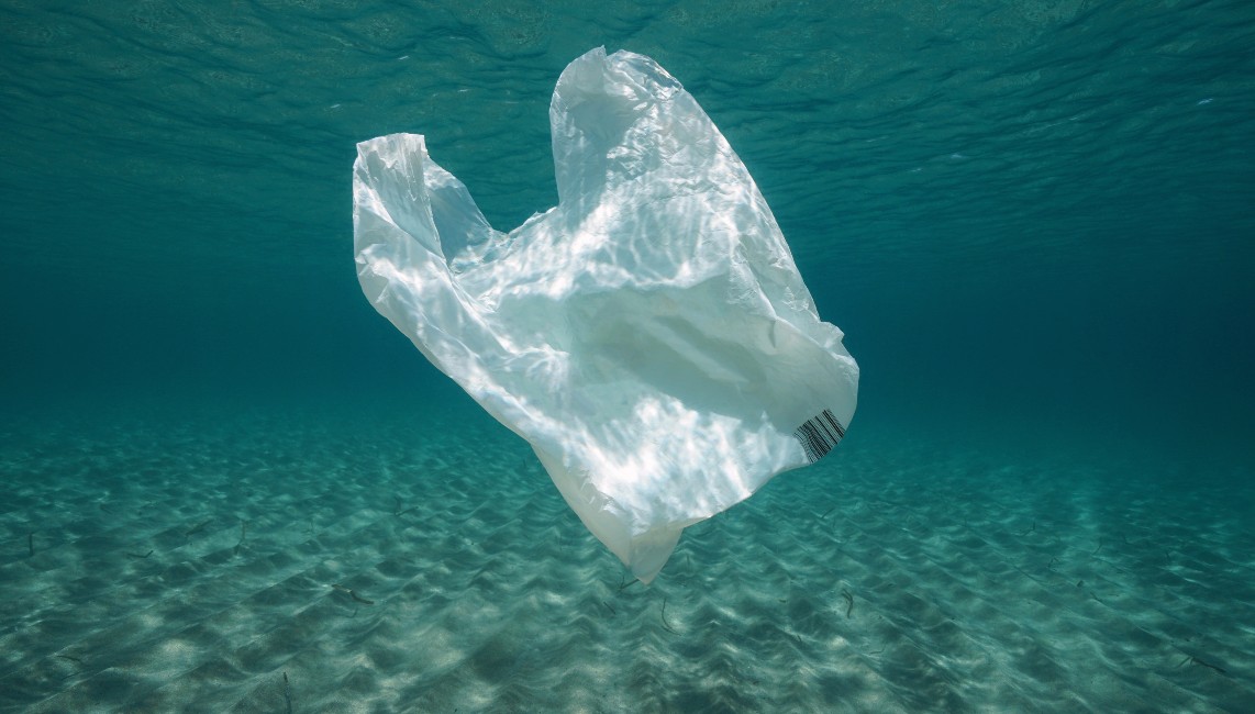 What Are the 5 Most Common Types of Plastic Bags?